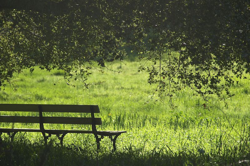 How a Transfer Bench Makes Senior Living Easier